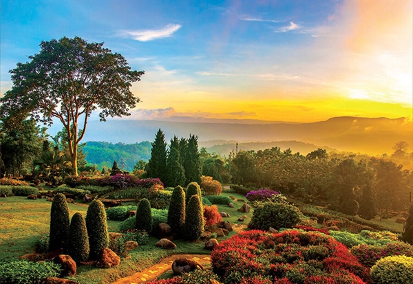 Beautiful Garden