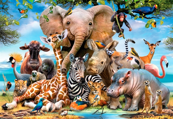 Africa Smile