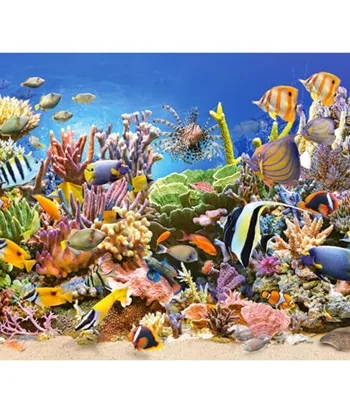 Underwater Life